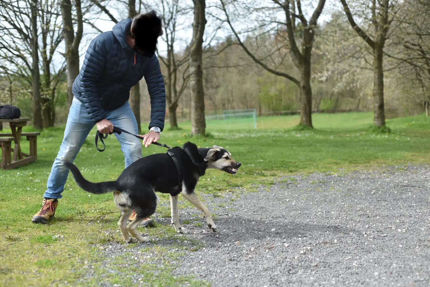 Ein Mann mit einem Hund von FellFibel