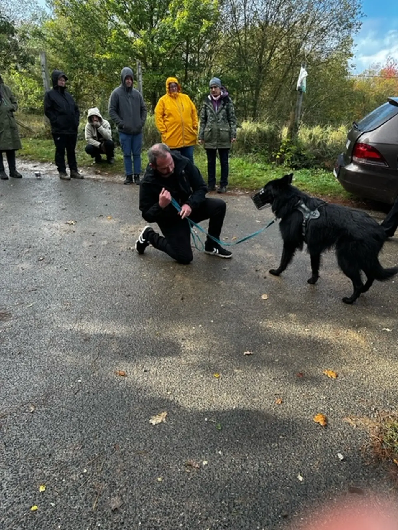 Mann leistet dem Hund Erste Hilfe von FellFibel