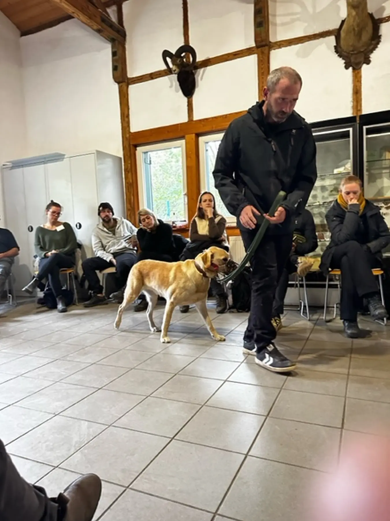 Mann leistet dem Hund Erste Hilfe von FellFibel