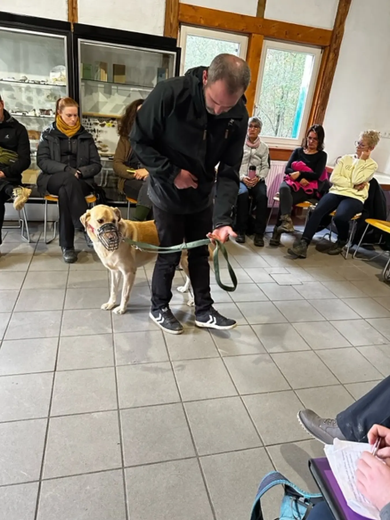 Mann leistet dem Hund Erste Hilfe von FellFibel