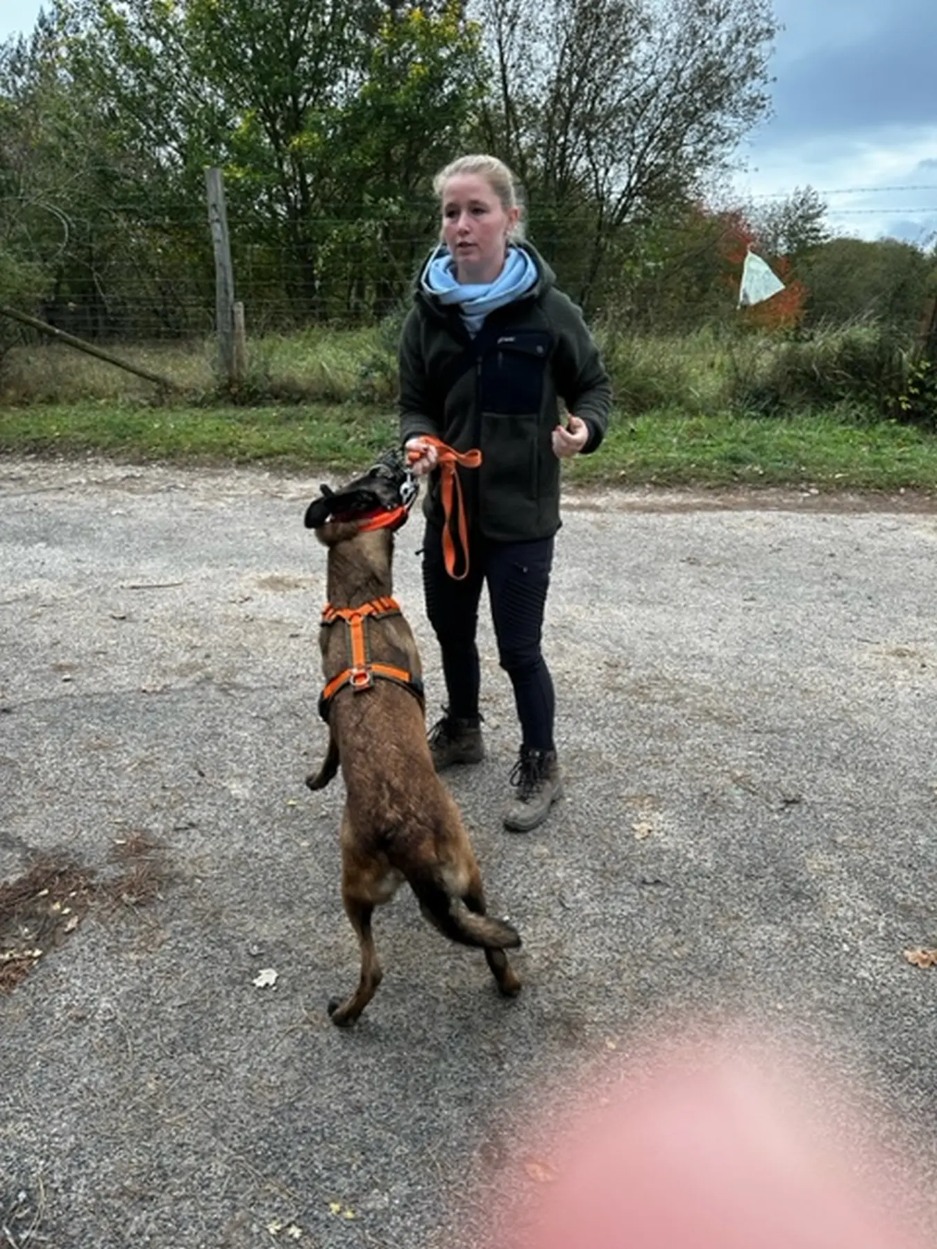 Mann leistet dem Hund Erste Hilfe von FellFibel