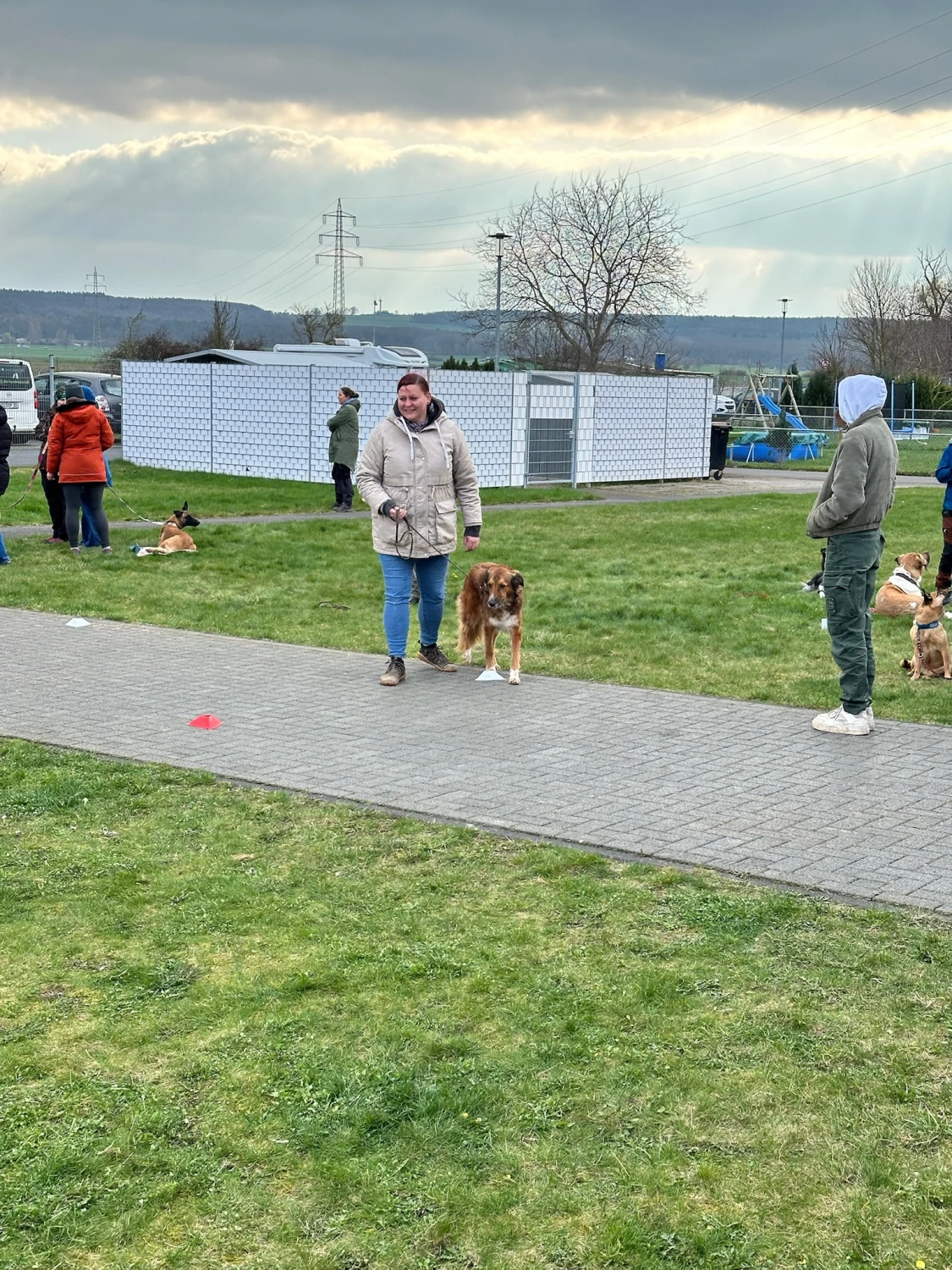 Mann leistet dem Hund Erste Hilfe von FellFibel