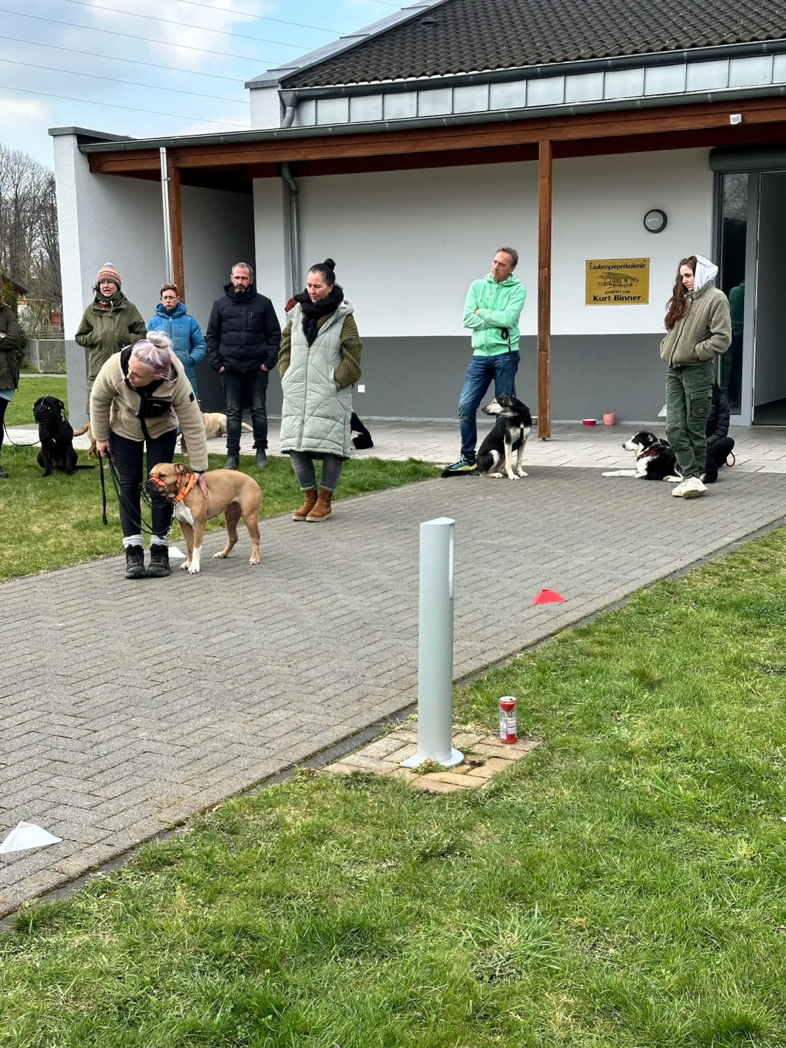 Mann leistet dem Hund Erste Hilfe von FellFibel