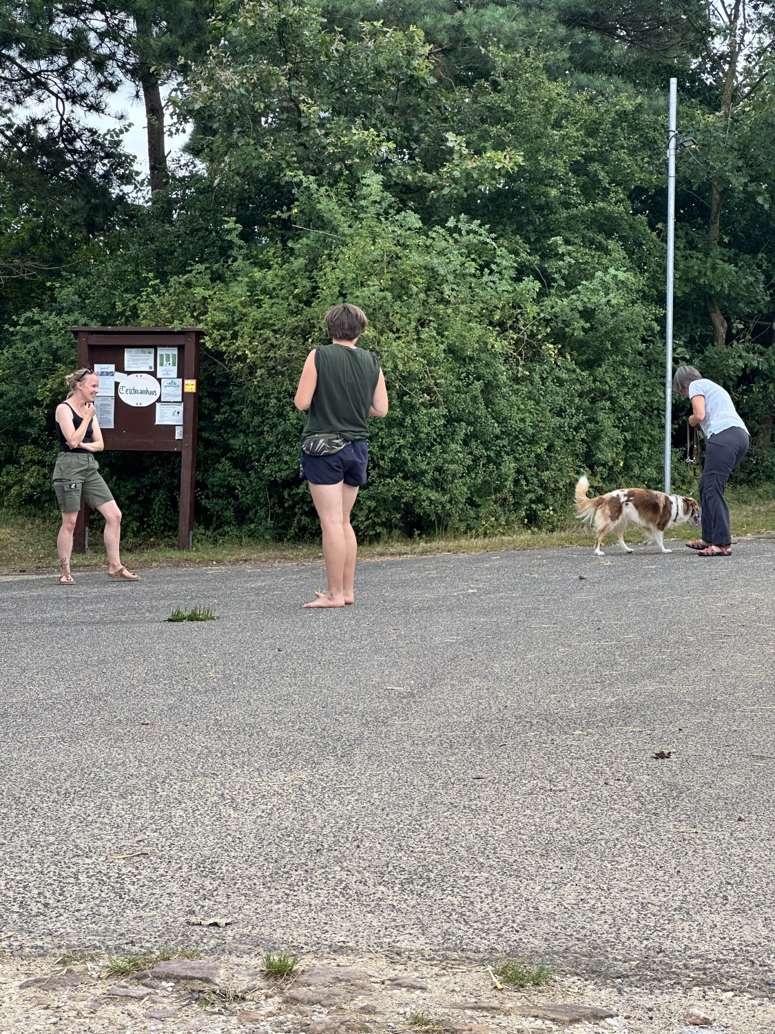 Mann leistet dem Hund Erste Hilfe von FellFibel