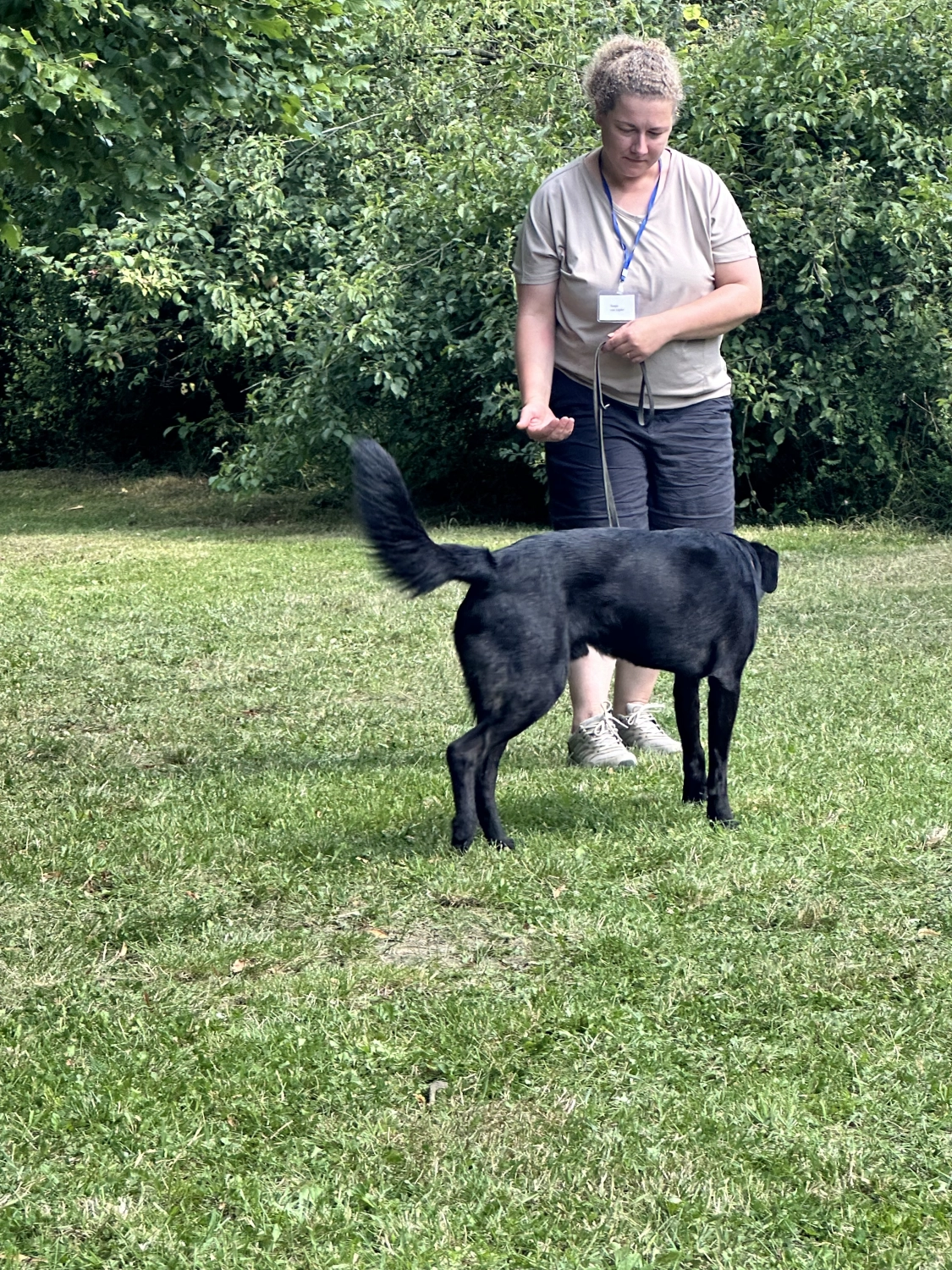 Mann leistet dem Hund Erste Hilfe von FellFibel