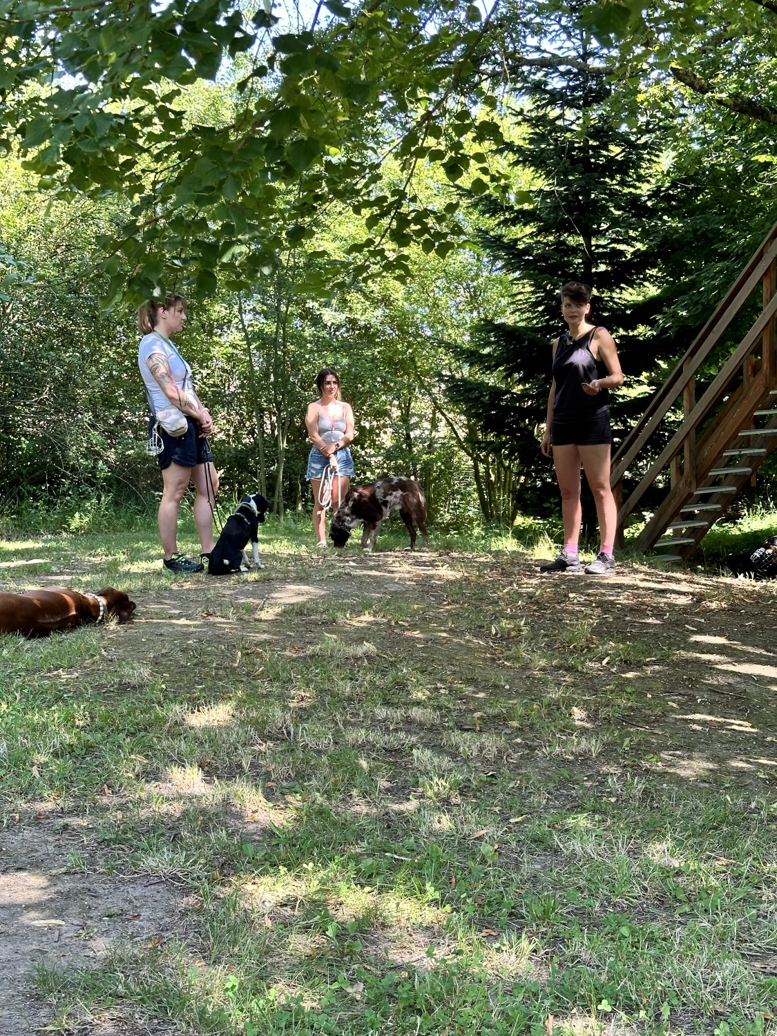 Mann leistet dem Hund Erste Hilfe von FellFibel