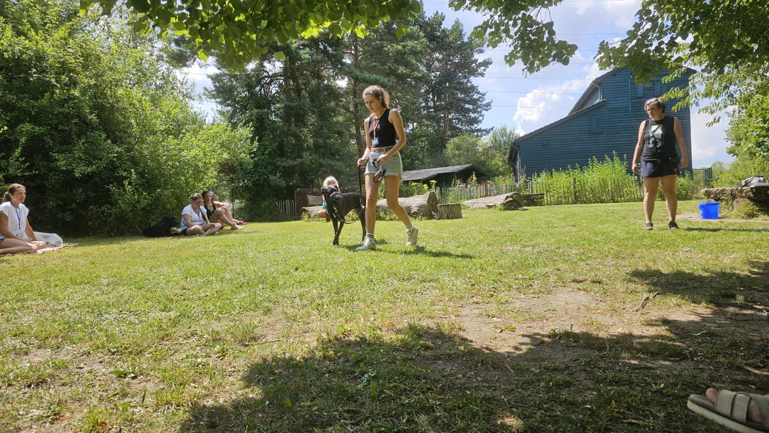 Mann leistet dem Hund Erste Hilfe von FellFibel