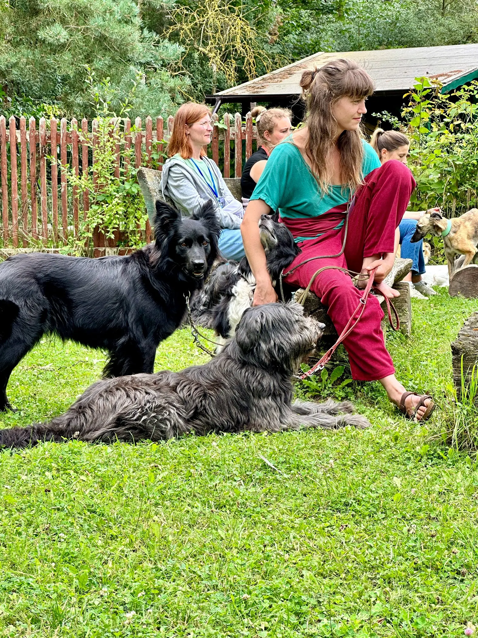 Mann leistet dem Hund Erste Hilfe von FellFibel