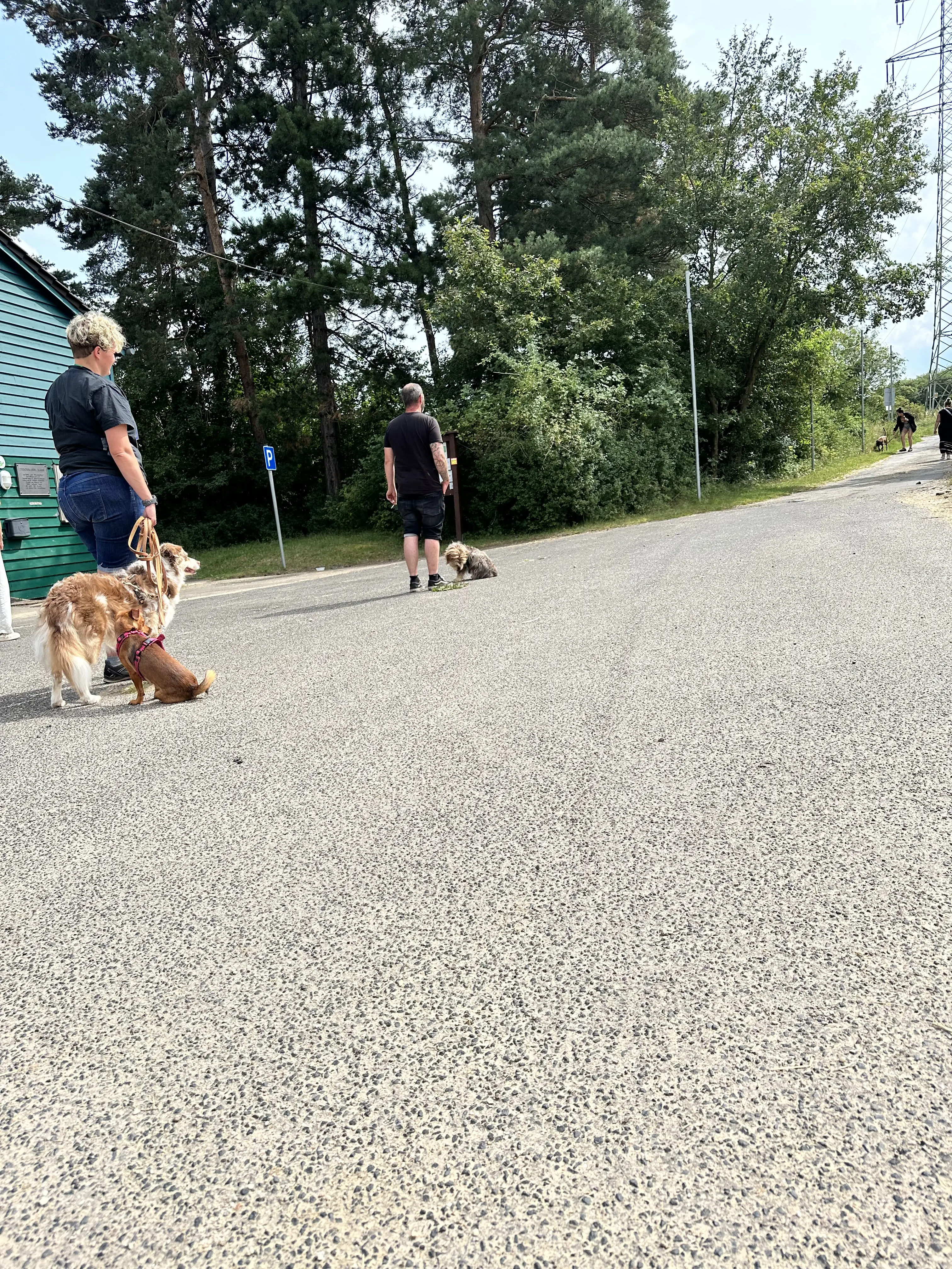 Mann leistet dem Hund Erste Hilfe von FellFibel