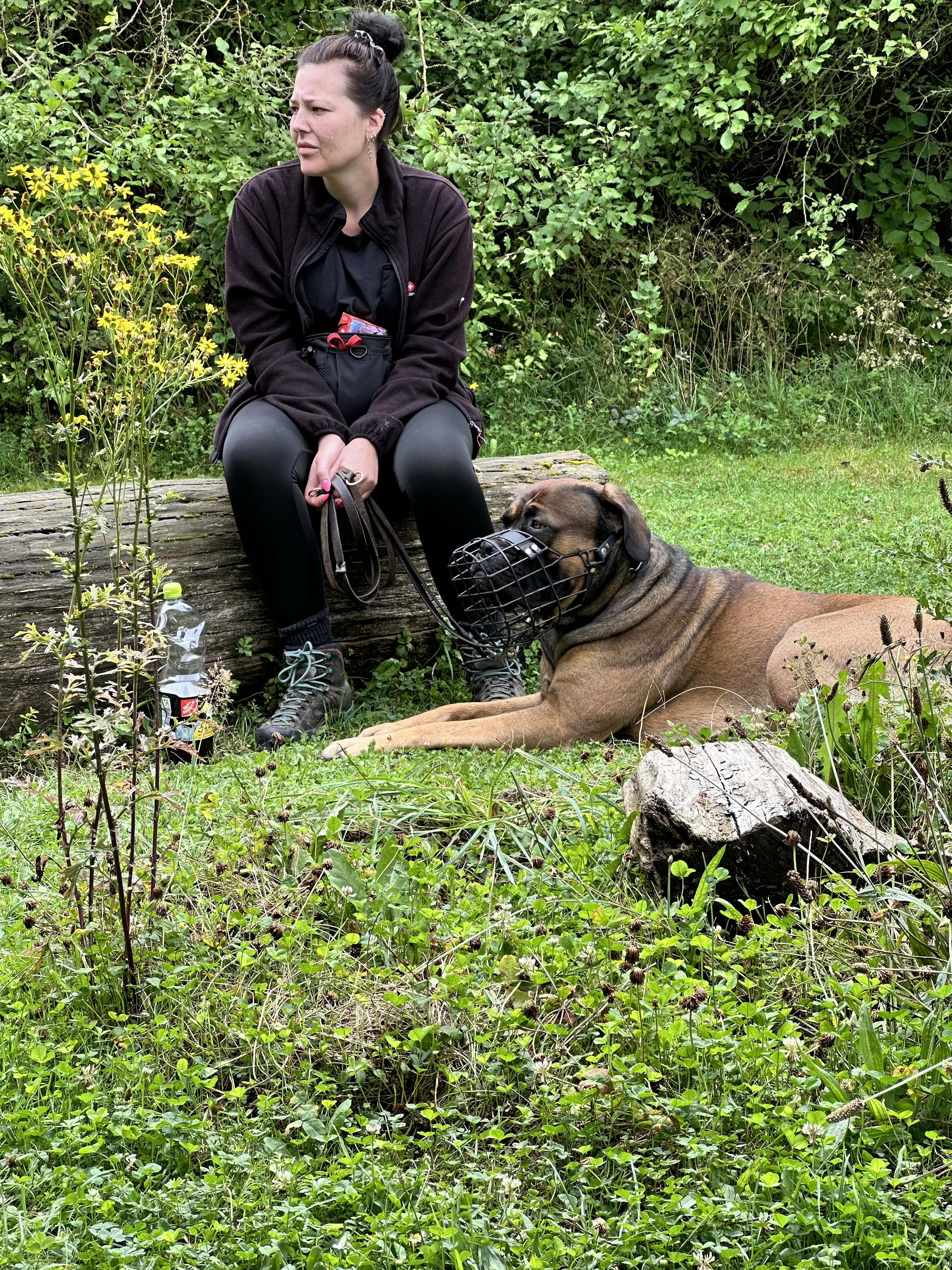 Mann leistet dem Hund Erste Hilfe von FellFibel