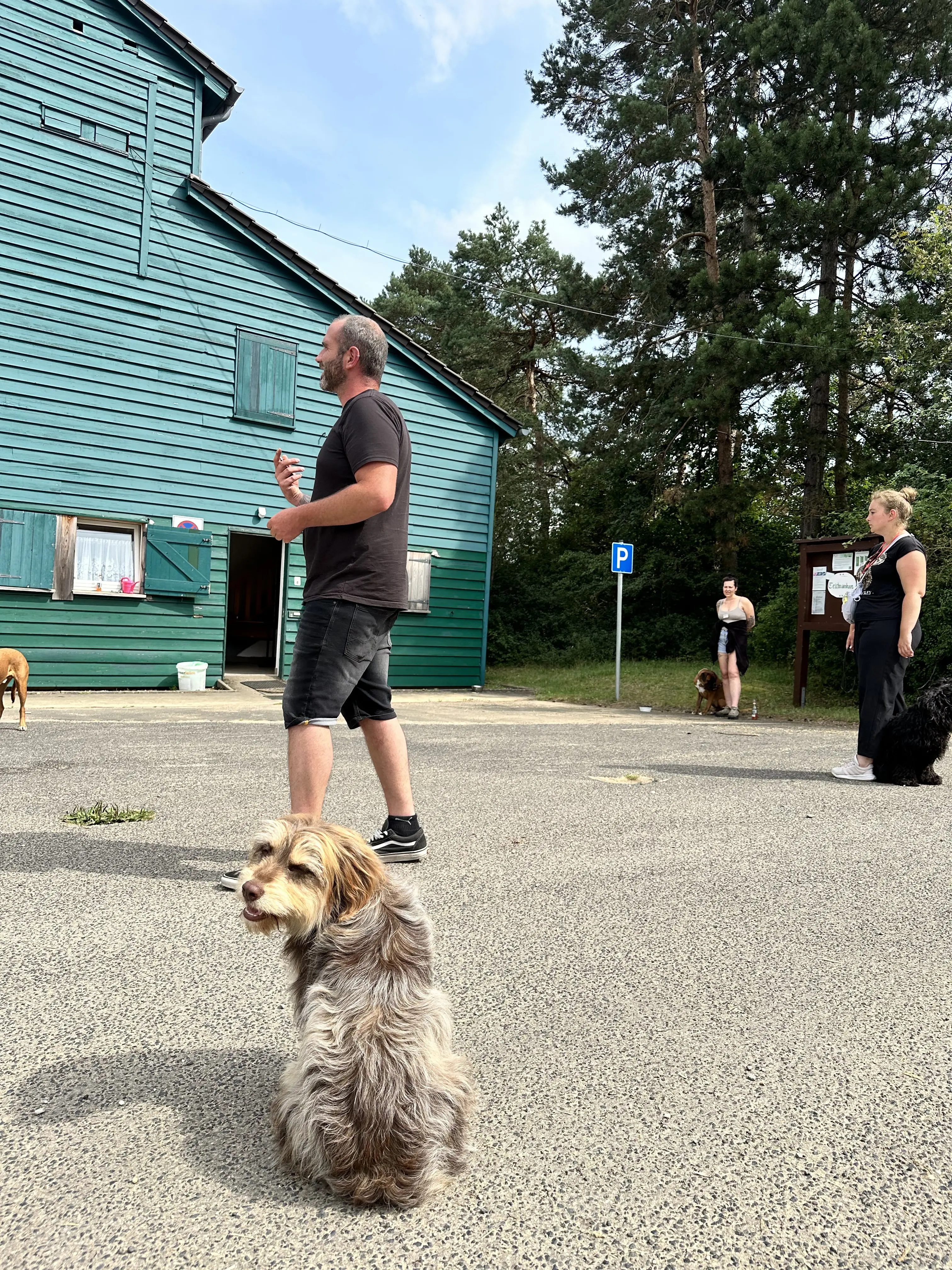 Mann leistet dem Hund Erste Hilfe von FellFibel