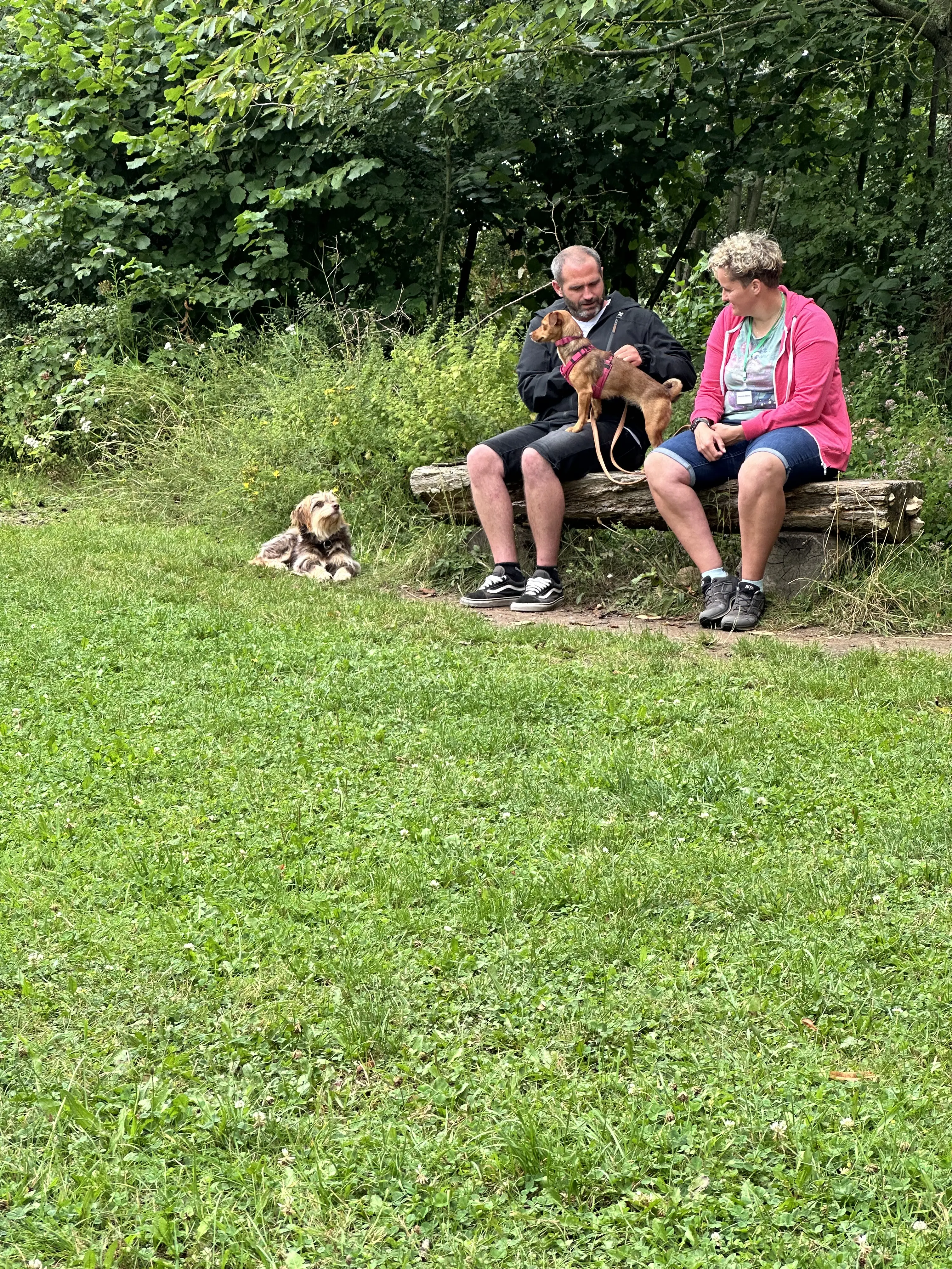 Mann leistet dem Hund Erste Hilfe von FellFibel