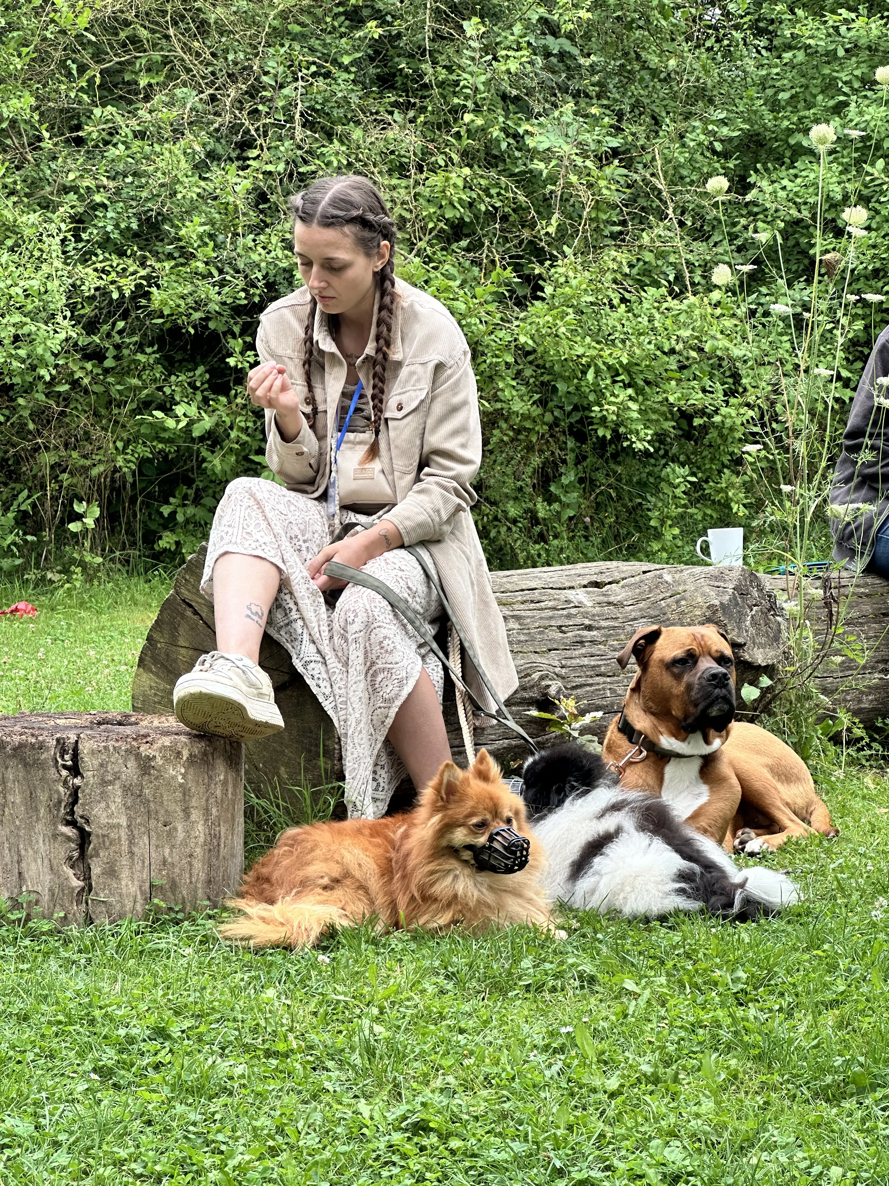 Mann leistet dem Hund Erste Hilfe von FellFibel