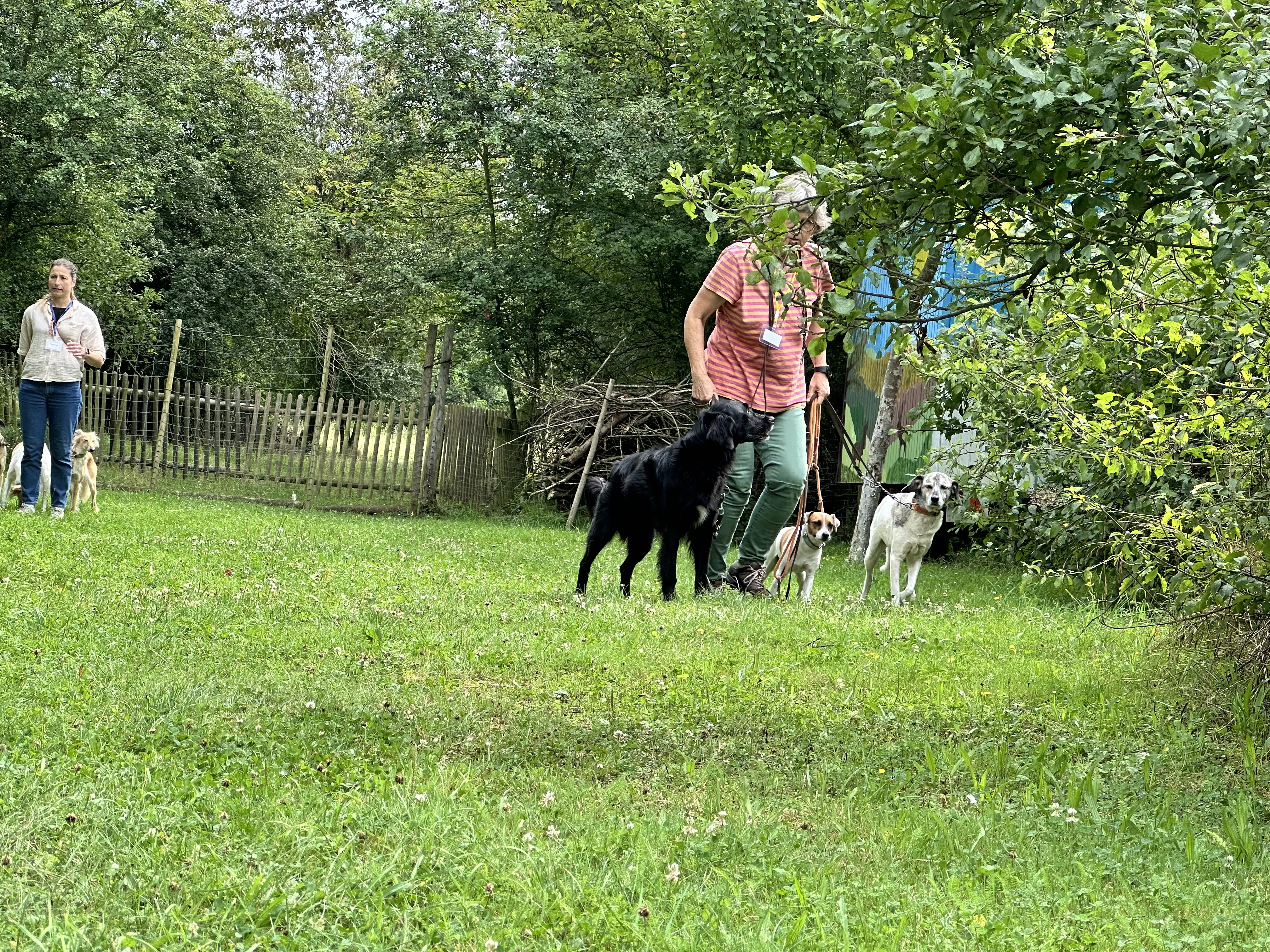 Mann leistet dem Hund Erste Hilfe von FellFibel