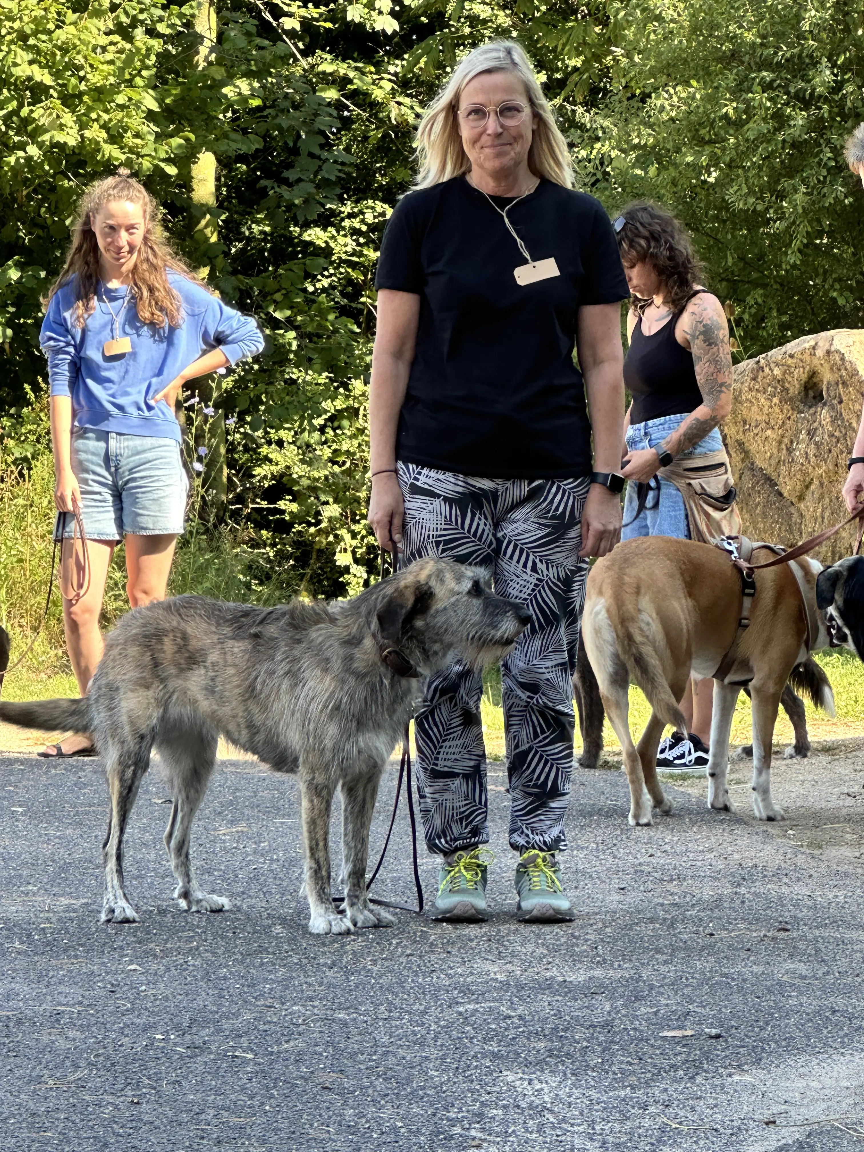 Mann leistet dem Hund Erste Hilfe von FellFibel