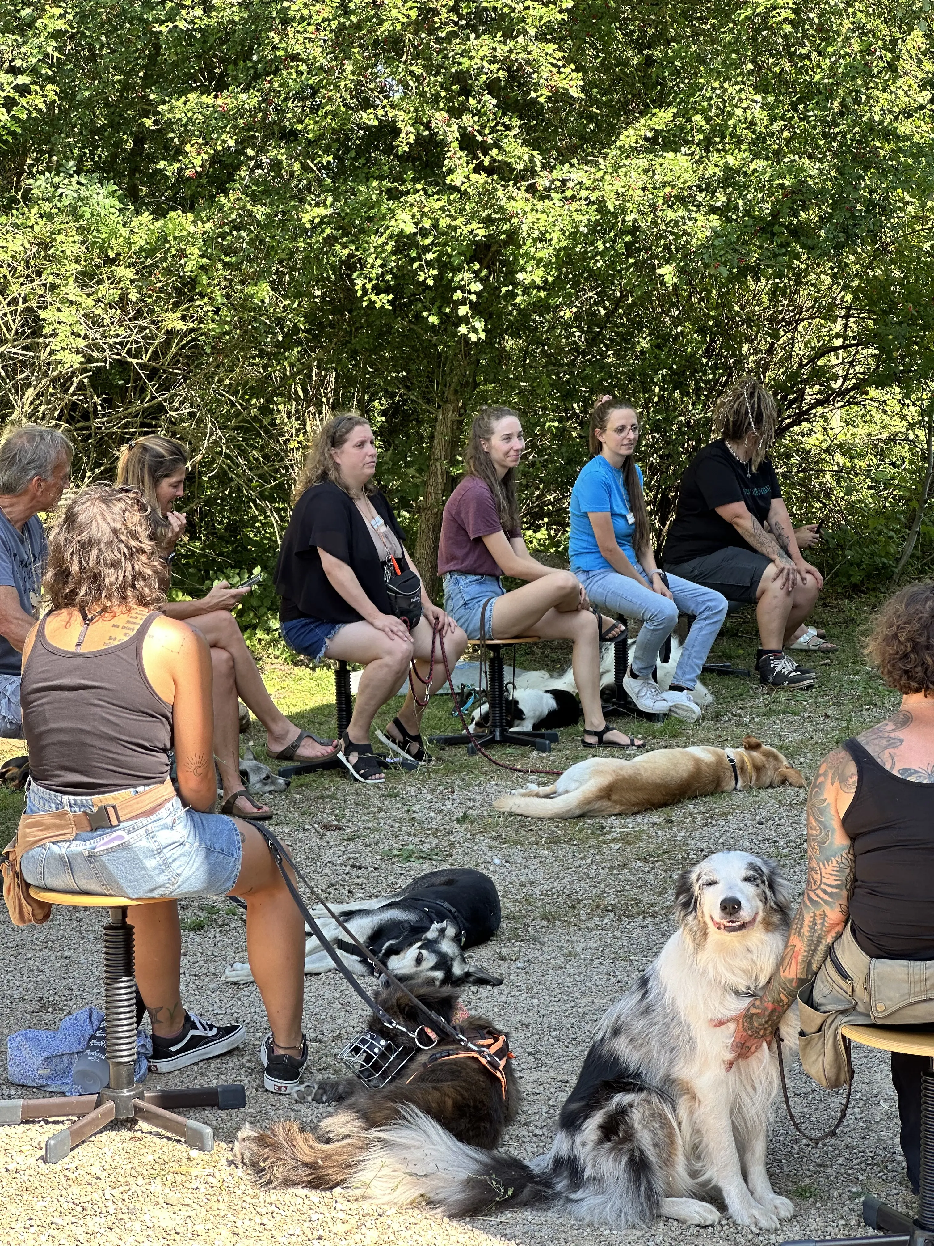 Mann leistet dem Hund Erste Hilfe von FellFibel