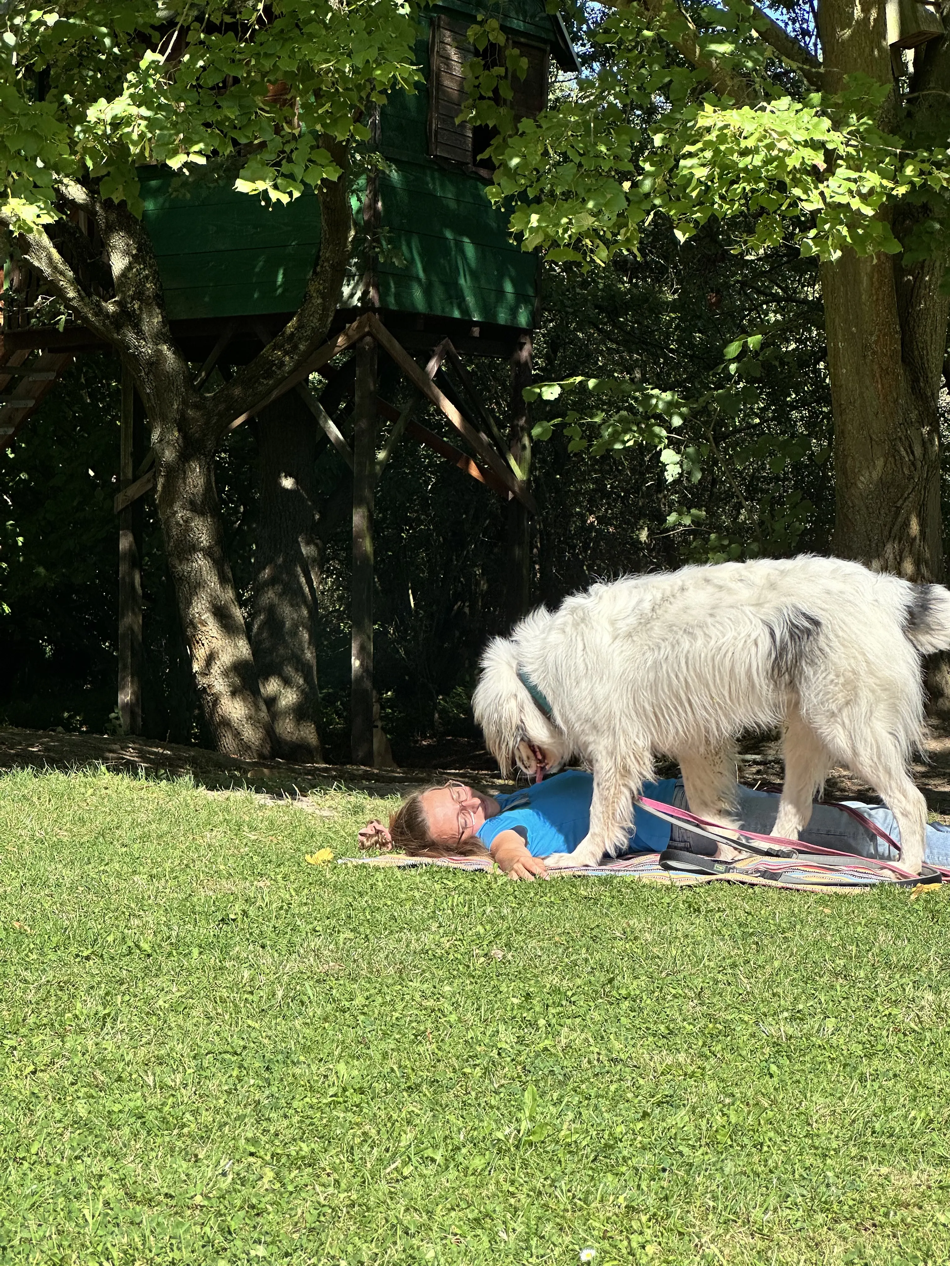 Mann leistet dem Hund Erste Hilfe von FellFibel