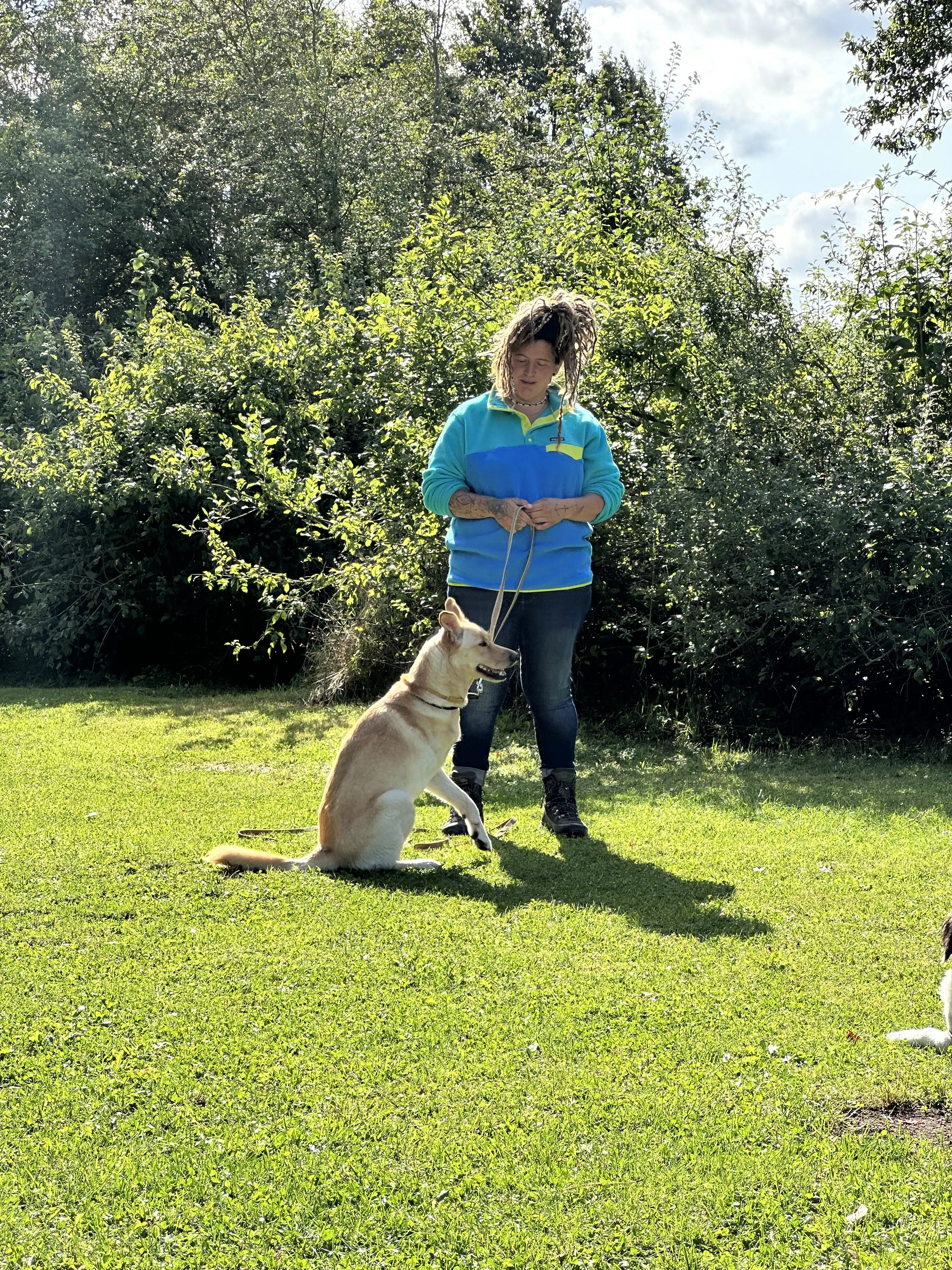 Mann leistet dem Hund Erste Hilfe von FellFibel