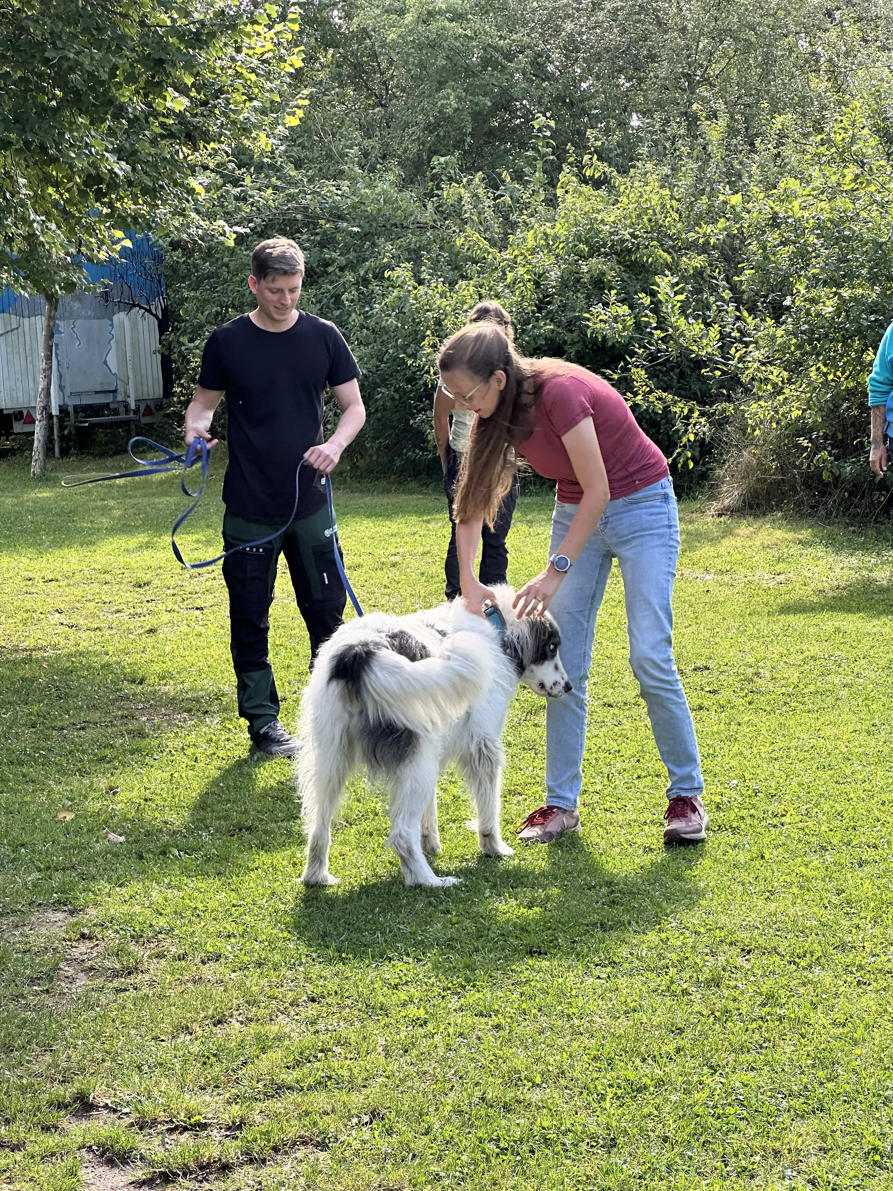 Mann leistet dem Hund Erste Hilfe von FellFibel