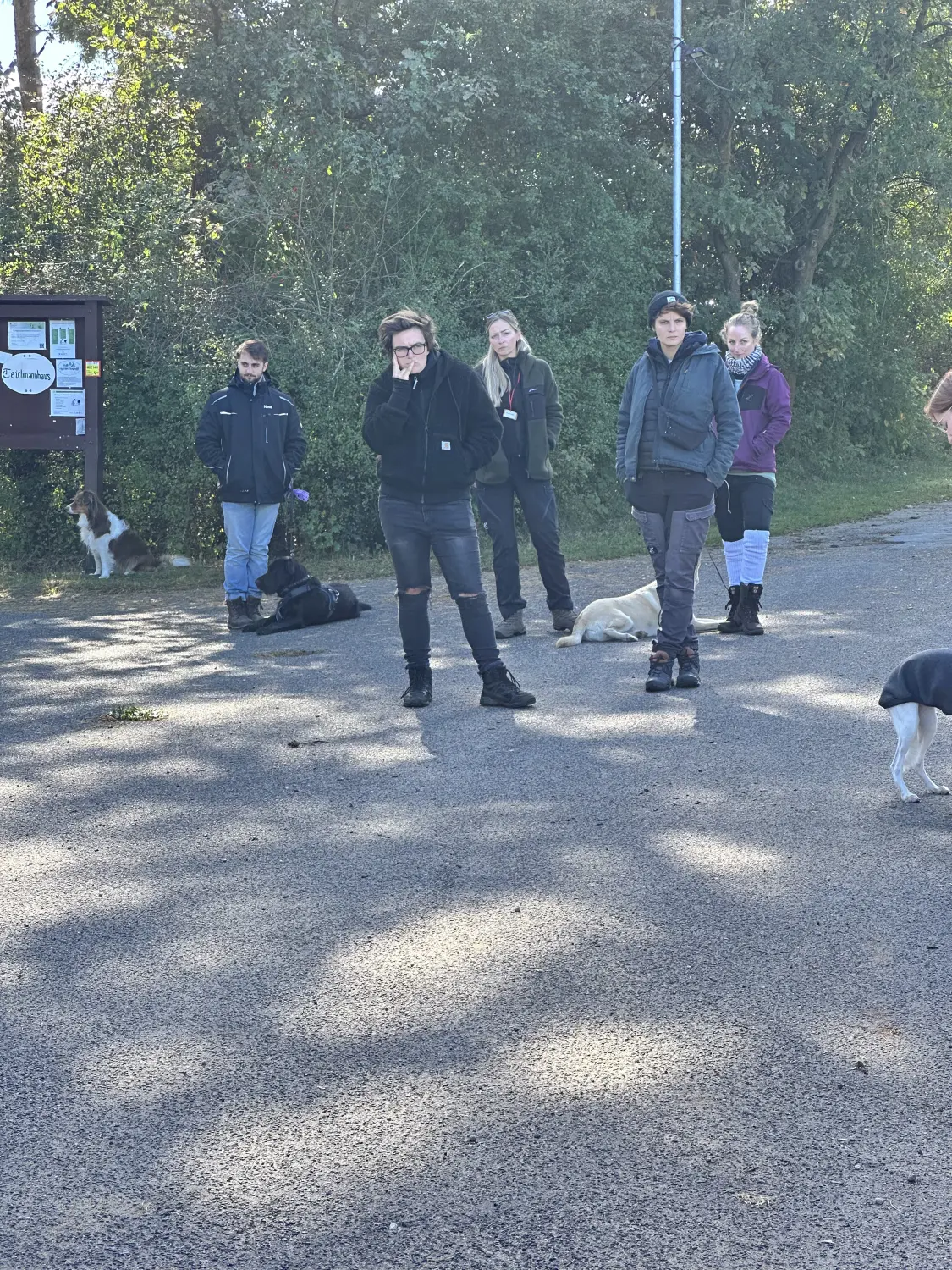 Mann leistet dem Hund Erste Hilfe von FellFibel