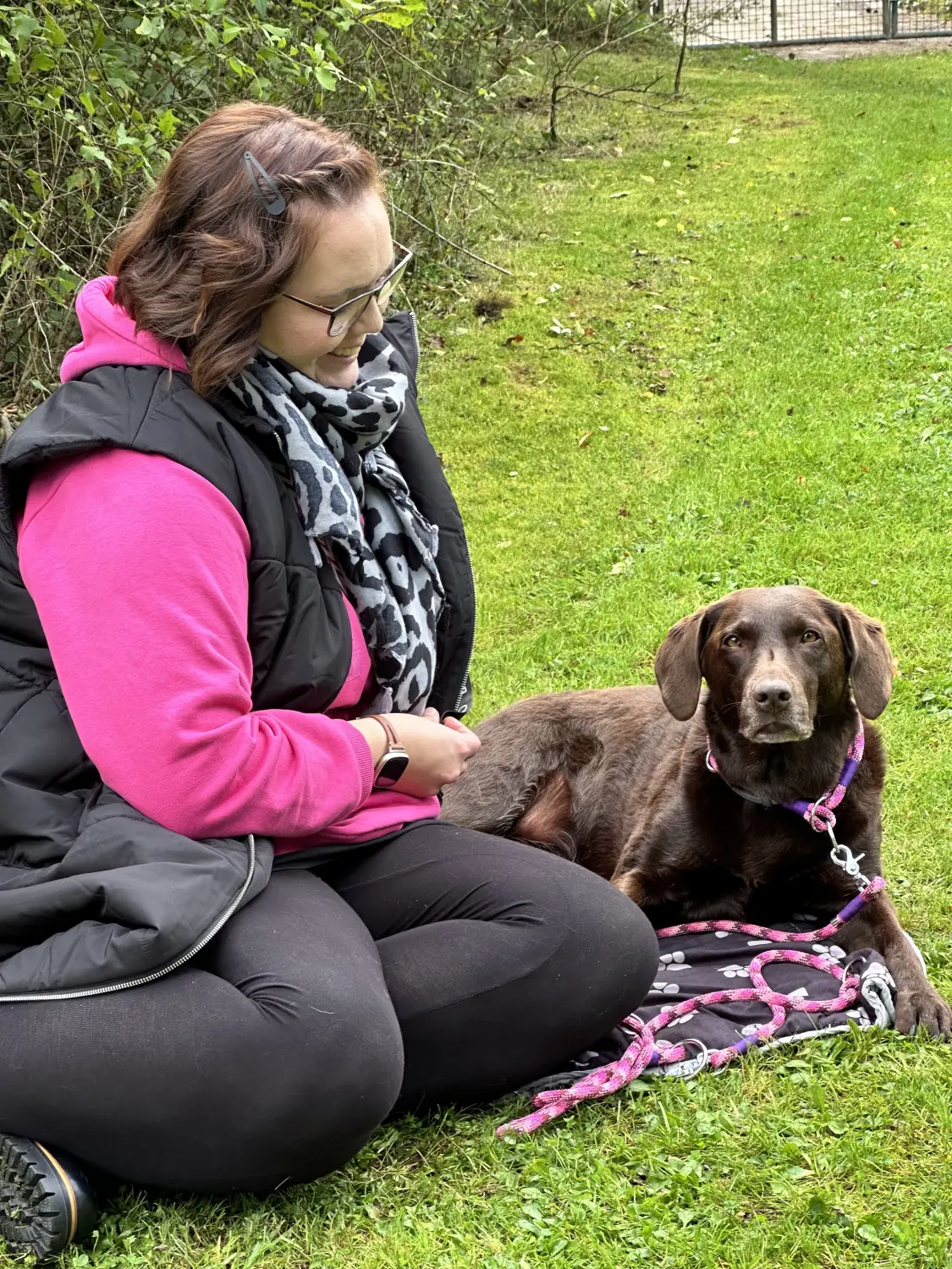 Mann leistet dem Hund Erste Hilfe von FellFibel