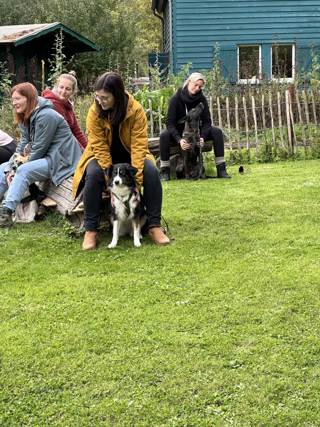 Mann leistet dem Hund Erste Hilfe von FellFibel