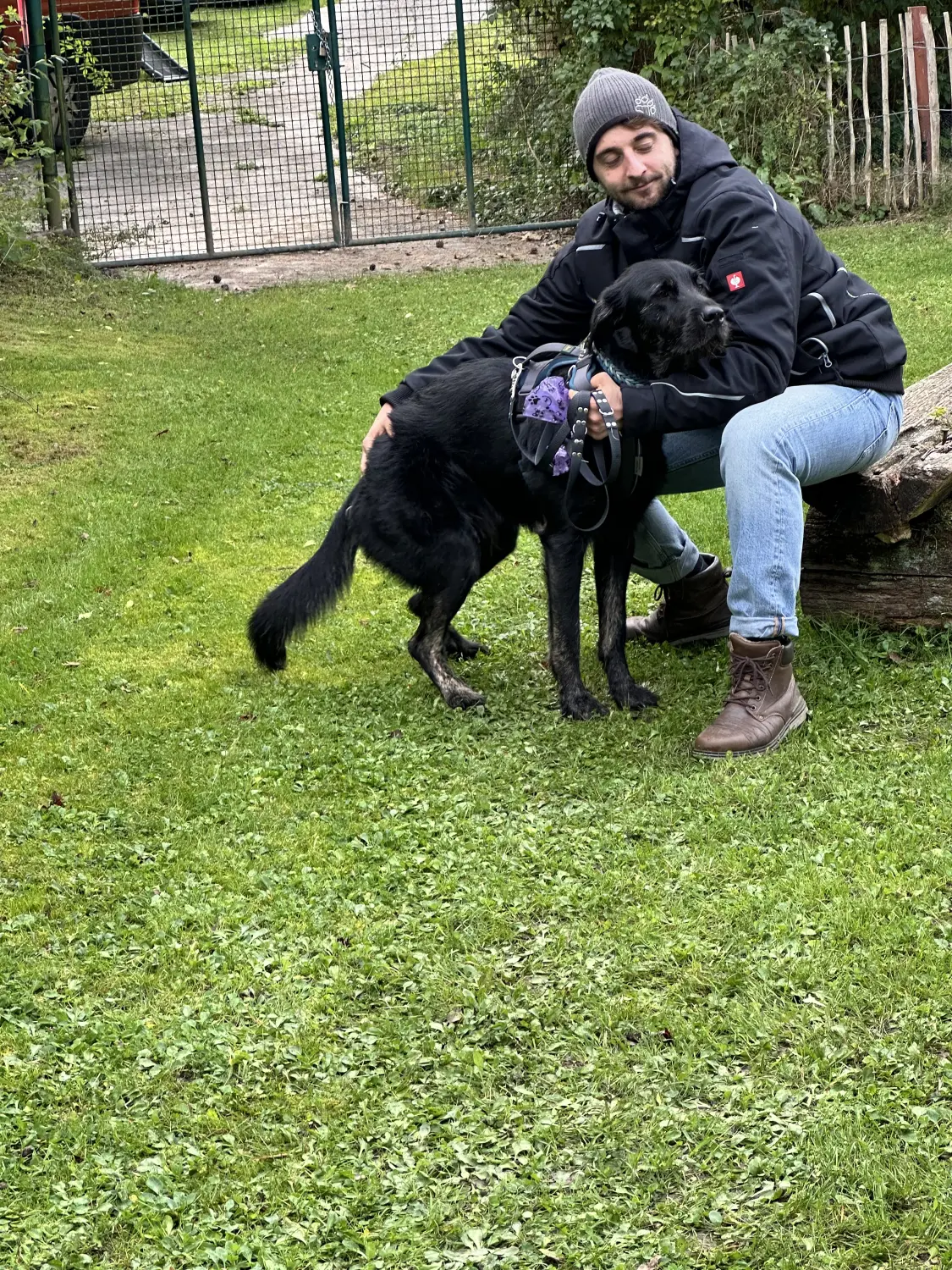 Mann leistet dem Hund Erste Hilfe von FellFibel