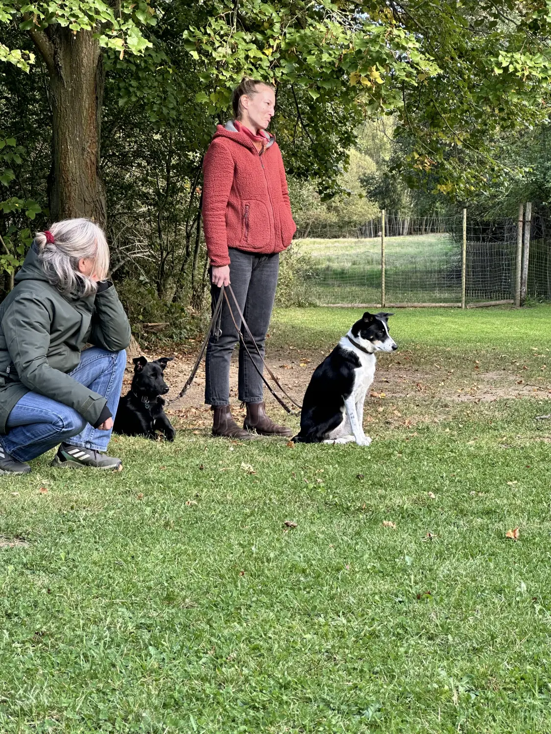 Mann leistet dem Hund Erste Hilfe von FellFibel