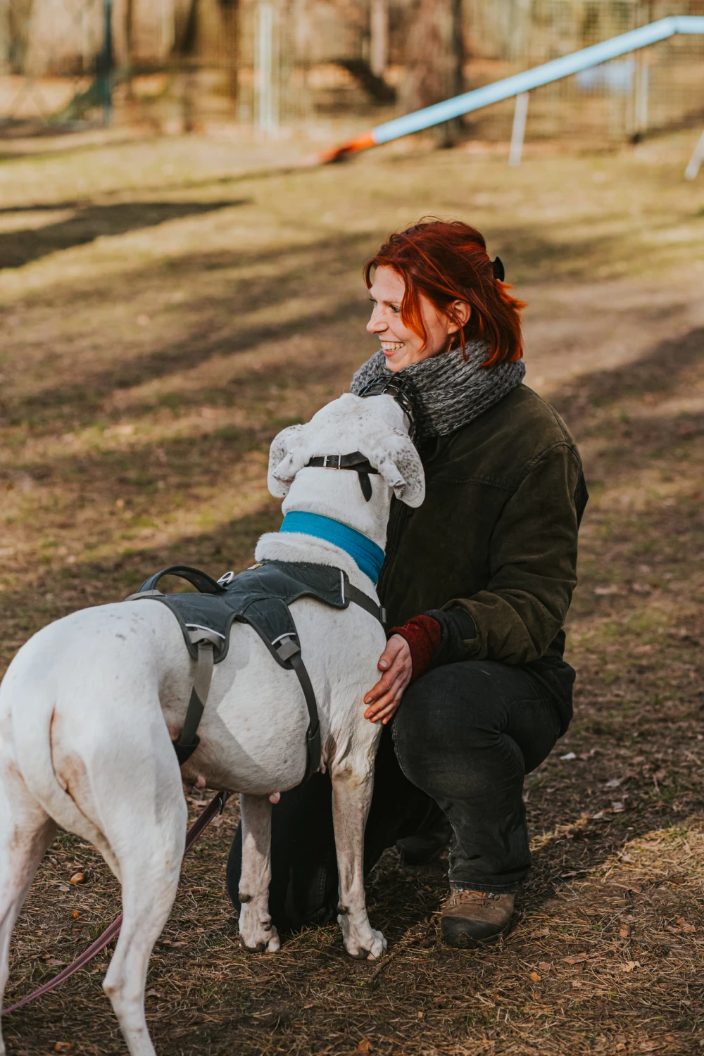 Charly Arzberger mit Hunden