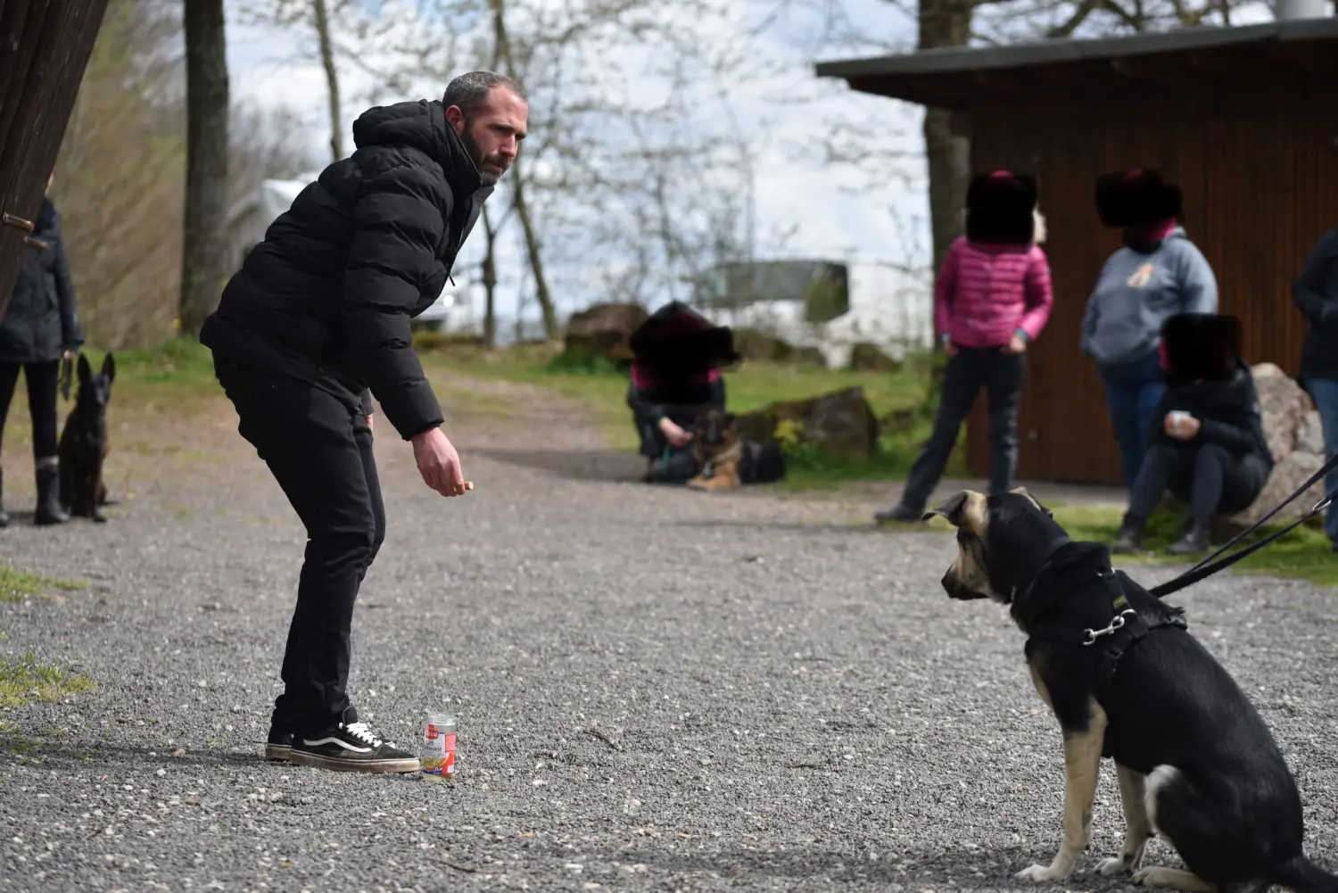 Mann spielt mit Hunden von FellFibel